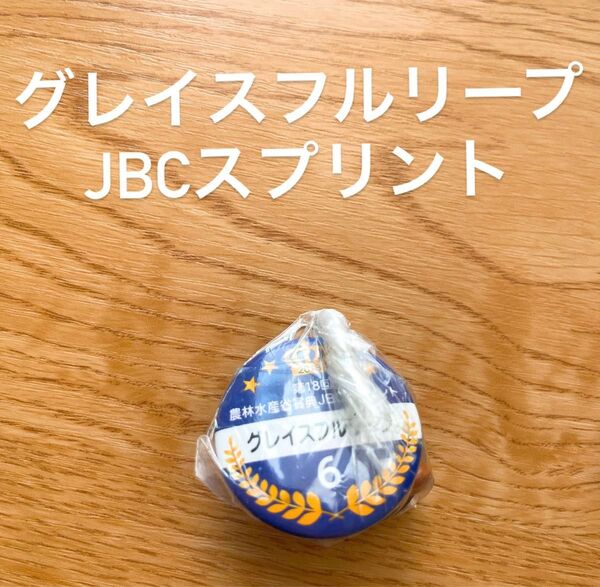 グレイスフルリープ JBCスプリント アイドルホースミニコレクション