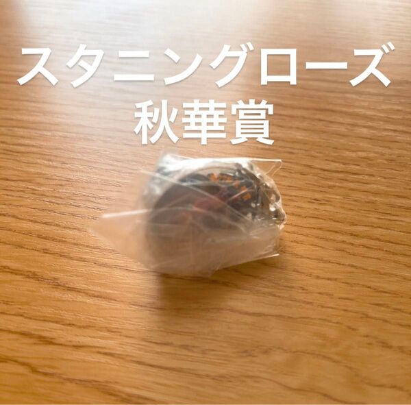 スタニングローズ 秋華賞 坂井瑠星 アイドルホースミニコレクション
