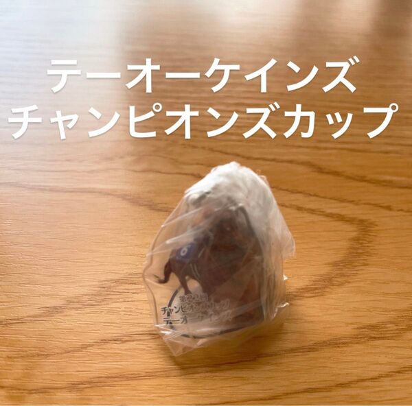 テーオーケインズ チャンピオンズカップ アイドルホースミニコレクション