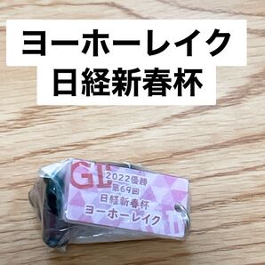 ヨーホーレイク 日経新春杯 アイドルホースミニコレクション