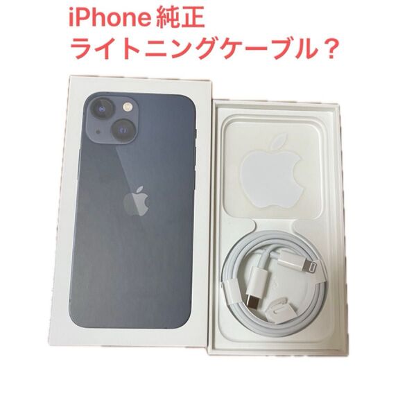 iPhone 13mini 空箱 ライトニング ライトニングケーブル ケーブル シール アップル