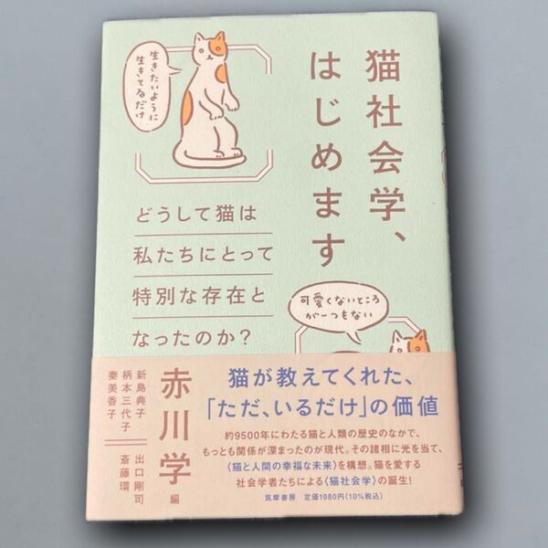 猫社会学、はじめます