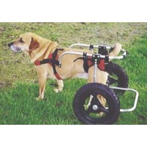 大形犬用車椅子(レトリーバー等・レンタル・中古車)