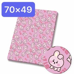 生地 ハギレ 約70×49 BT21 cookie ピンク