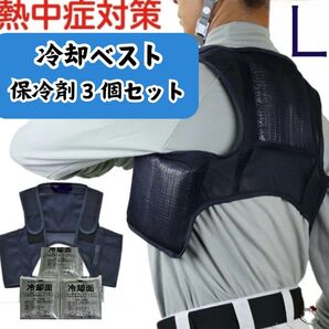 売りつくしセール 冷却ベスト クールベスト・熱中症対策・暑さに負けないセット L