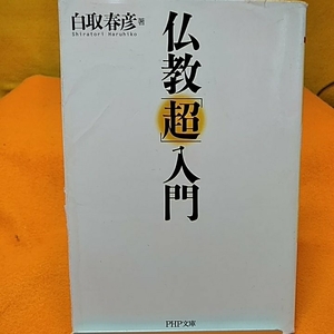 ねこまんま堂★まとめお得！　仏教「超」入門　ねこ読んじゃった