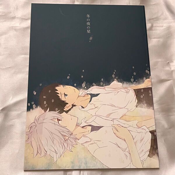 エヴァンゲリオン 同人誌 カヲシン 冬の夜の星