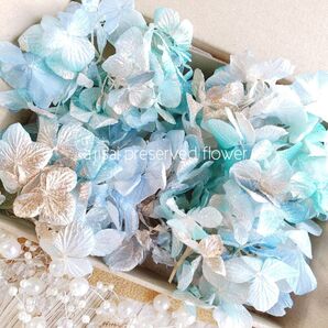 ゆめあじさい アクアゴールド 花材 プリザーブドフラワー