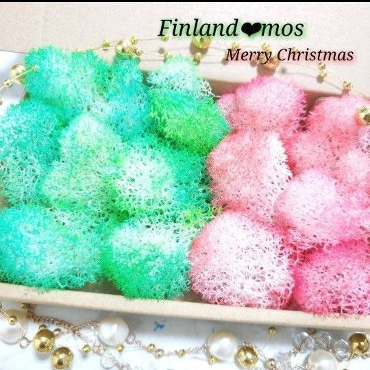 クリスマス フィンランドモス プリザーブドフラワー
