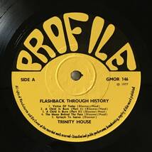 TRINITY HOUSE「FLASHBACK THROUGH HISTORY」UK ORIGINAL PROFILE GMOR 146 '77 UK PROGRESSIVE ROCK RARE PRIVATE PRESSING ONLY 500 MADE_画像5