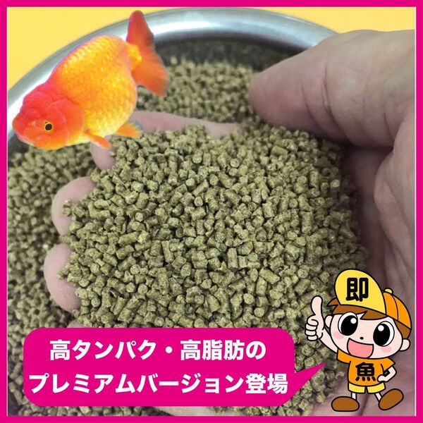『プレミアム2㎜ペレット』4kg入り 高タンパク高脂肪でらんちゅうに最適 ハイグレードタイプ 沈下性