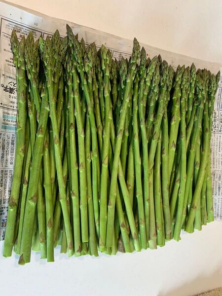 山形県産アスパラガス 無農薬(1.5kg)S~Mサイズ