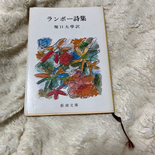 ランボー詩集