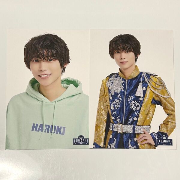 EBiDAN museum ポストカード BUDDiiS HARUKI