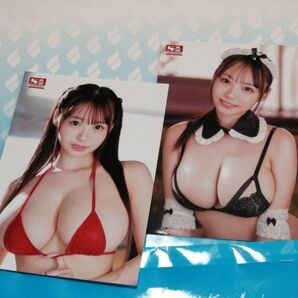 清原みゆう生写真セット