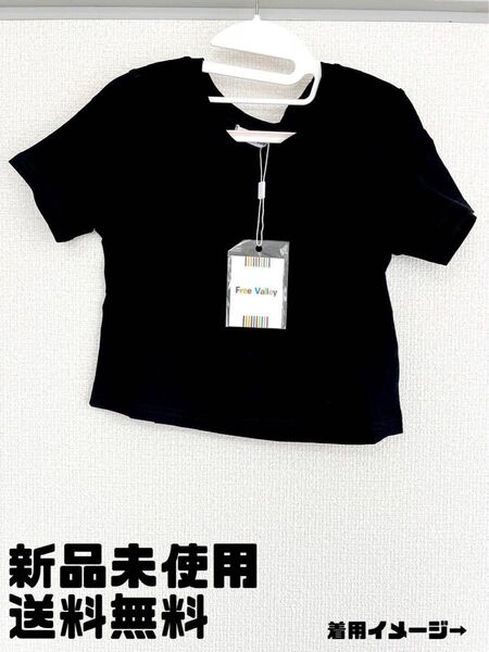 最終値下げ 韓国 クロップド丈Tシャツ 無地 シンプル
