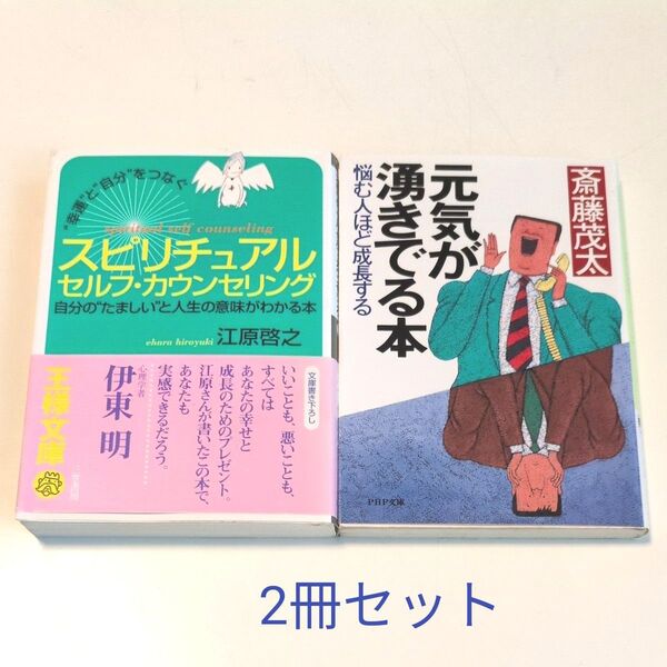 スピリチュアルセルフ・カウンセリング “幸運”と“自分”をつなぐ (王様文庫) 江原啓之/著