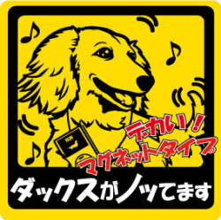  new goods *no.. sticker * Dux * magnet * car!* dog miscellaneous goods postage 180 jpy possible 