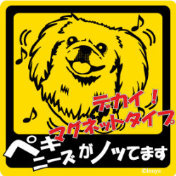  new goods *no.. sticker *peki needs * magnet * car!* dog miscellaneous goods 