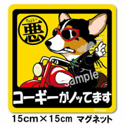  новый товар * слегка плохой магнит * Corgi *to Leica la-* машина . смартфон .!* собака смешанные товары стоимость доставки 180 иен возможно 