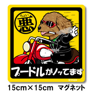 新品★ちょい悪マグネット★プードル茶★車に♪★犬雑貨　送料180円可