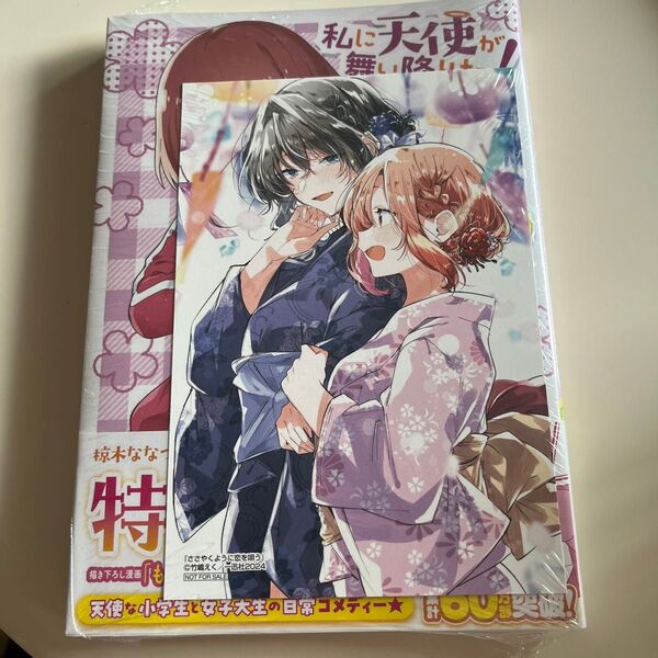 特装版 ポスター付き 私に天使が舞い降りた! 14 (百合姫コミックス) 椋木ななつ