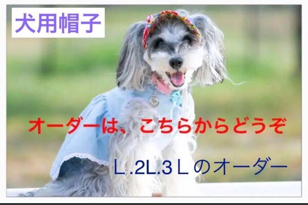 犬用帽子 L.2L.3Lのオーダー受け付けは こちらからどうぞ