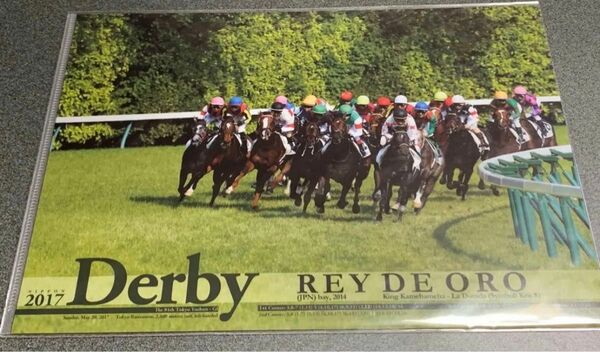 (未開封)レイデオロ 日本ダービー クリアファイル 来場ポイント当選品 非売品 競馬 JRA