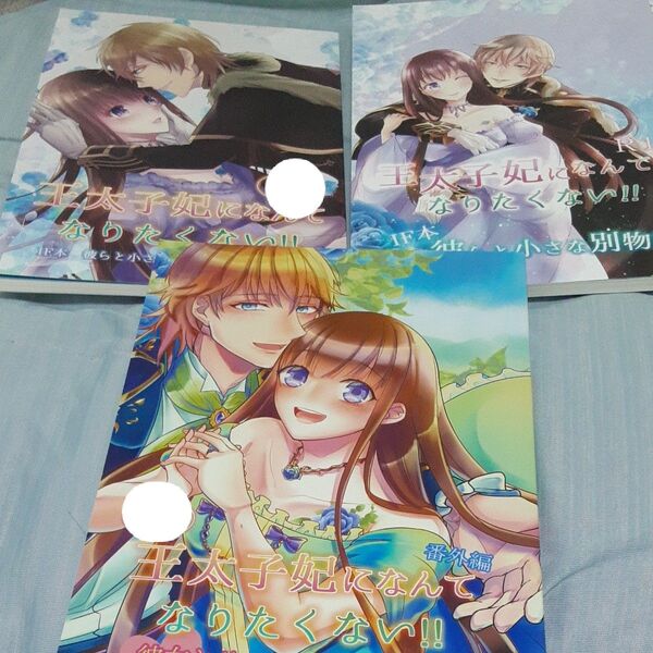 王太子妃になんてなりたくない 同人誌