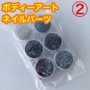 ② ラメパウダー ネイルパーツ グリッター 新品 文化祭 メイク ハロウィン 工作 クリスマス 仮装 特殊メイク 成人式 結婚式