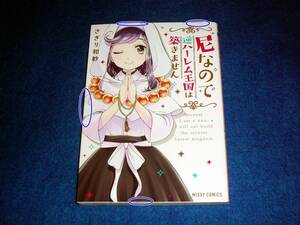  尼なので逆ハーレム王国は築きません (ミッシィコミックス/NextcomicsF) 　★ さぎり和紗 (著) 【122】