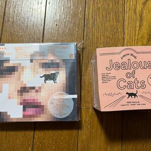 あいみょん 猫にジェラシー