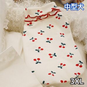 犬服 ペット服 中型犬 春秋冬 さくらんぼふちどりTシャツ:3XL