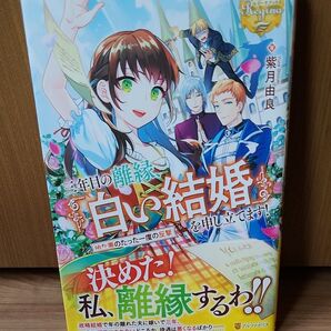 三年目の離縁、「白い結婚」を申し立てます! 幼な妻のたった一度の反撃