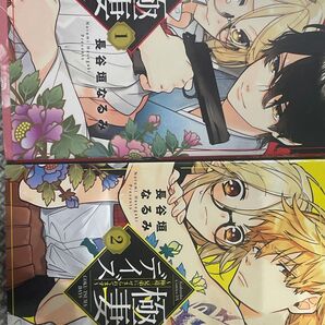 極妻デイズ〜極道、三兄弟にせめられています〜1.2冊 漫画 原作 著者