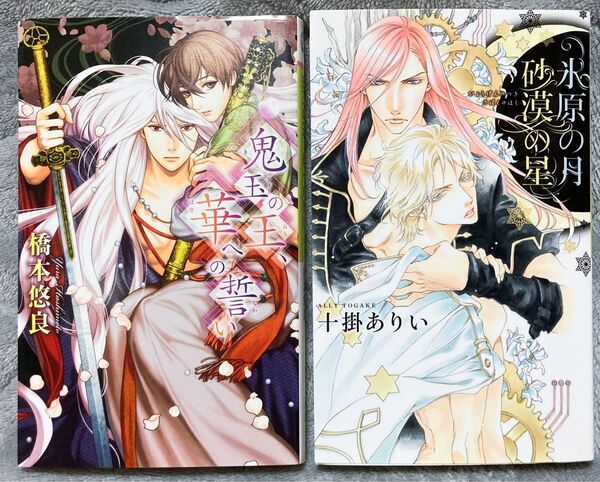 リンクスロマンス BL小説 2冊セット 橋本悠良 十掛ありい