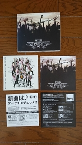 貴重!!初回限定特典盤 東京スカパラダイスオーケストラ「WILD PEACE」CDアルバム+DVD 2枚組ステッカー付き 中古/