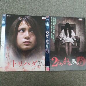 ホラー2枚セットレンタル落ち⑥