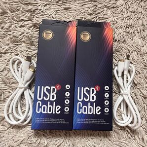 USBケーブル 2本セット(タイプC)