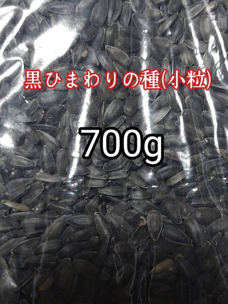 ペット用 黒ひまわりの種 小粒 700g ハムスター 小動物 小鳥 リス マウス インコ 鳥類 ジャンガリアン ゴールデンハムスター