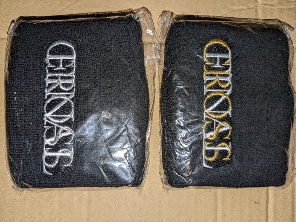 LUNA SEA 30th Anniversary Tour -CROSS THE UNIVERSE- GRAND FINAL 会場限定日替わりリストバンド 2種セット ルナシー ライブ ツアー