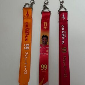 名古屋グランパス イーブス選手 ボンヒィン3本セット