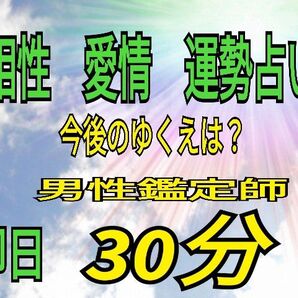電話とチャット占い 相性、愛情、恋愛 30分