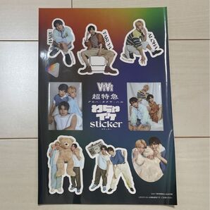 ViVi 超特急 ステッカー