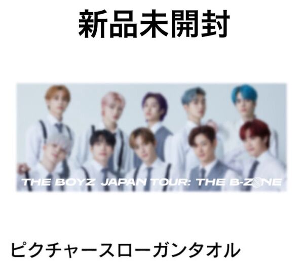 the boyz THE B ZONE ライブグッズ ピクチャースローガンタオル 新品未開封
