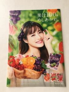  not for sale [ Ishihara Satomi ]..gmi clear file new goods 