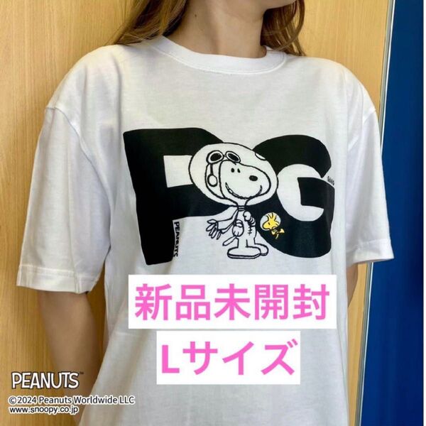 【新品】Lサイズ ポルノグラフィティ ヴィレッジヴァンガード Tシャツ 1点