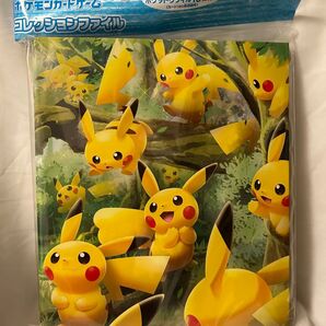 Pokemon ピカチュウの森 コレクションファイル ポケモンカードゲーム ②