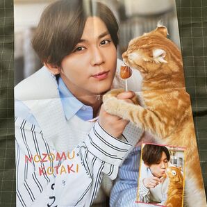 【小瀧望】ピンナップ