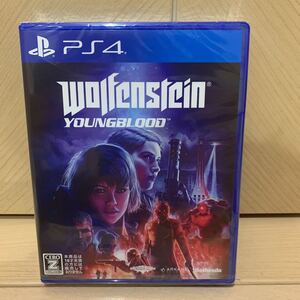送料無料 新品未開封 PS4 ウルフェンシュタイン ヤングブラッド